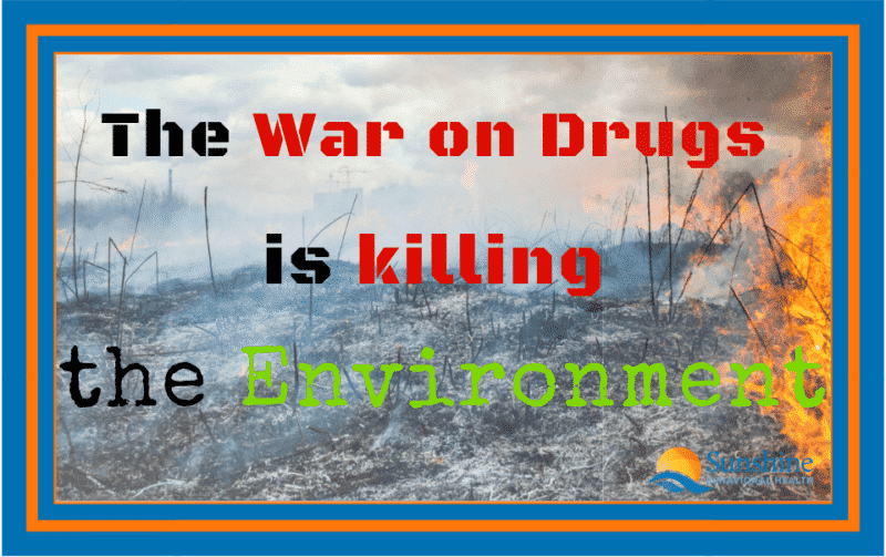 The War on Drugs is Killing the Environment