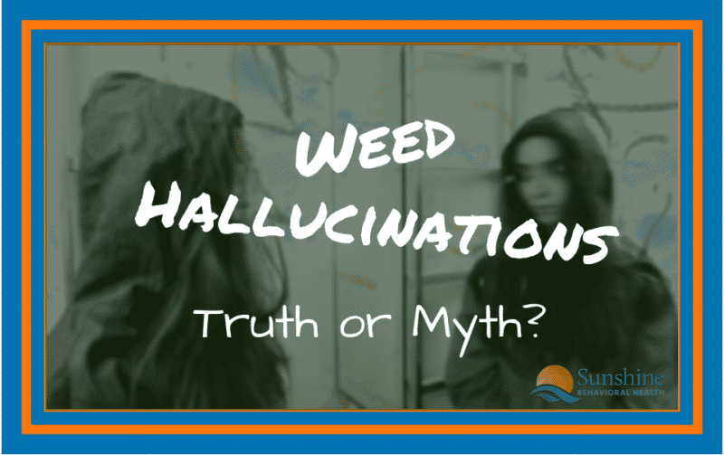 Weed Hallucinations: Truth or Myth?
