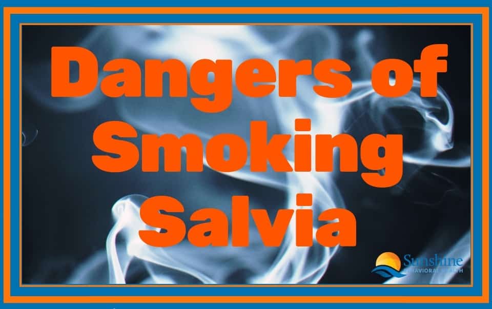 What is Salvia – Can you Abuse it?