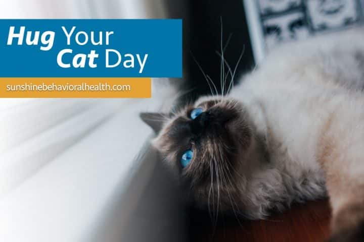 Hug-Your-Cat-Day-graphic