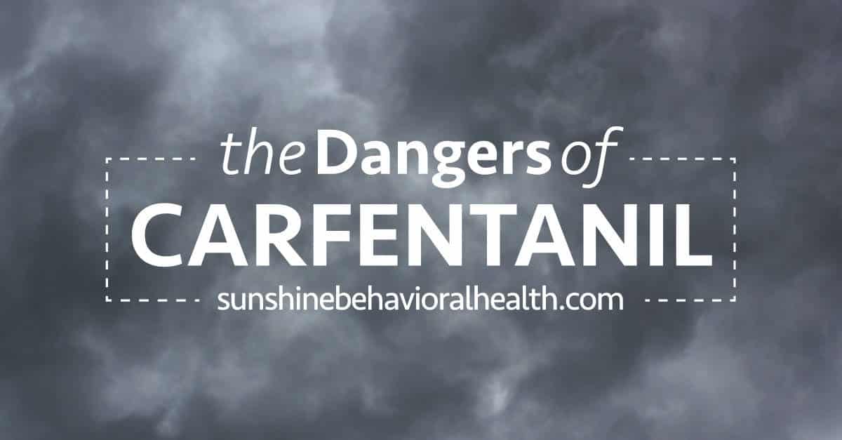 The Most Dangerous Opioid Carfentanil: What You Need To Know
